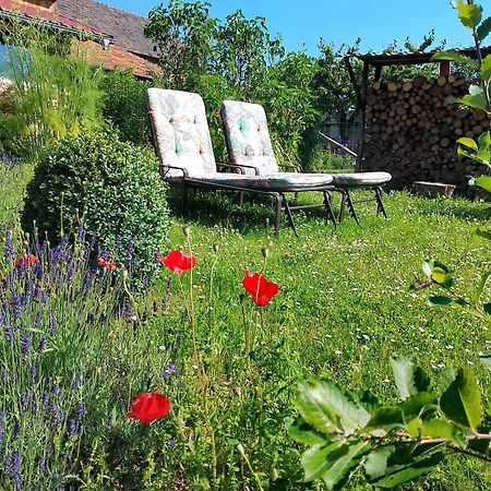 شقة Loft Eifel Idylle Nettersheim المظهر الخارجي الصورة