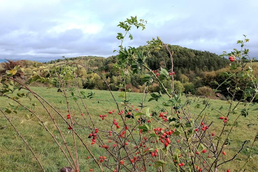 شقة Loft Eifel Idylle Nettersheim المظهر الخارجي الصورة