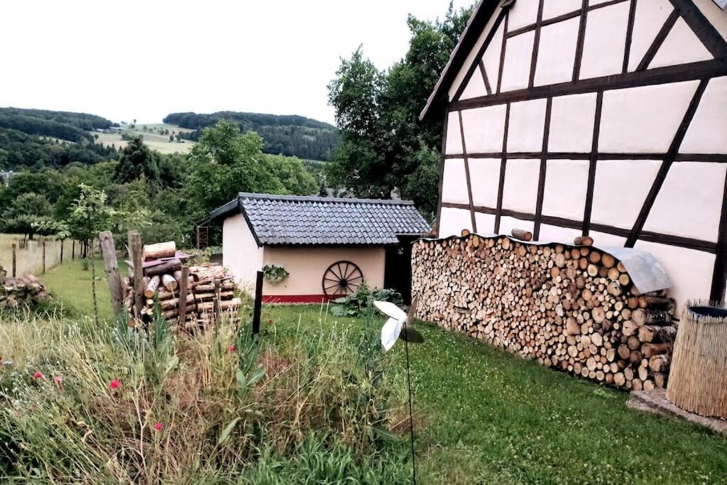 شقة Loft Eifel Idylle Nettersheim المظهر الخارجي الصورة