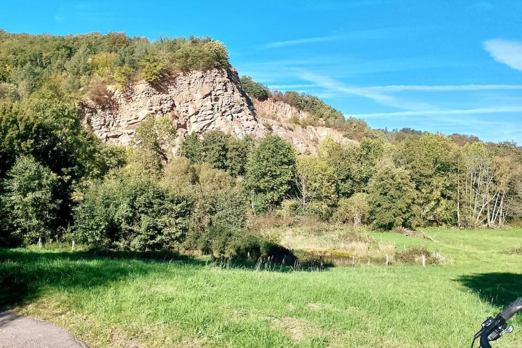شقة Loft Eifel Idylle Nettersheim المظهر الخارجي الصورة
