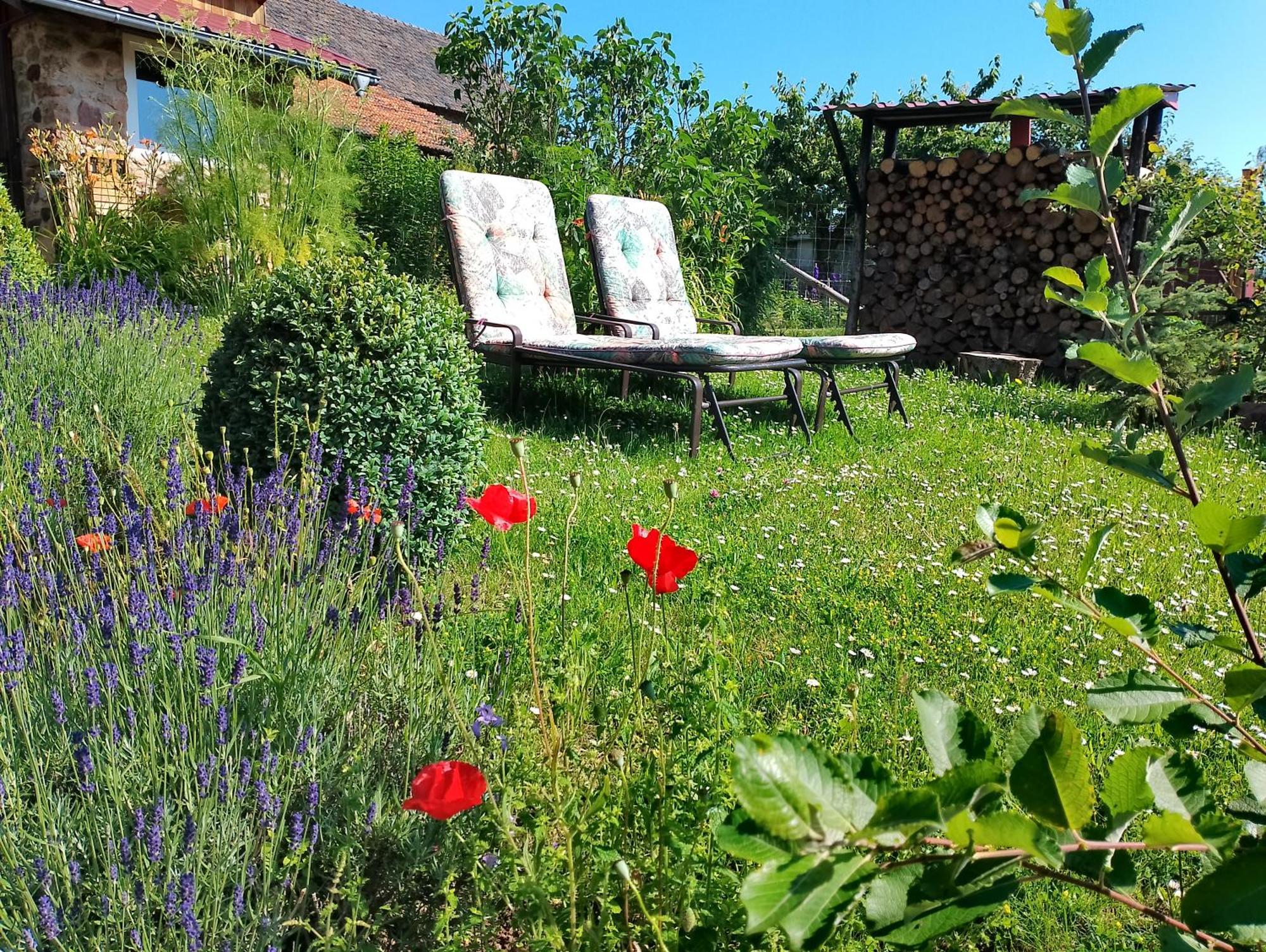 شقة Loft Eifel Idylle Nettersheim المظهر الخارجي الصورة